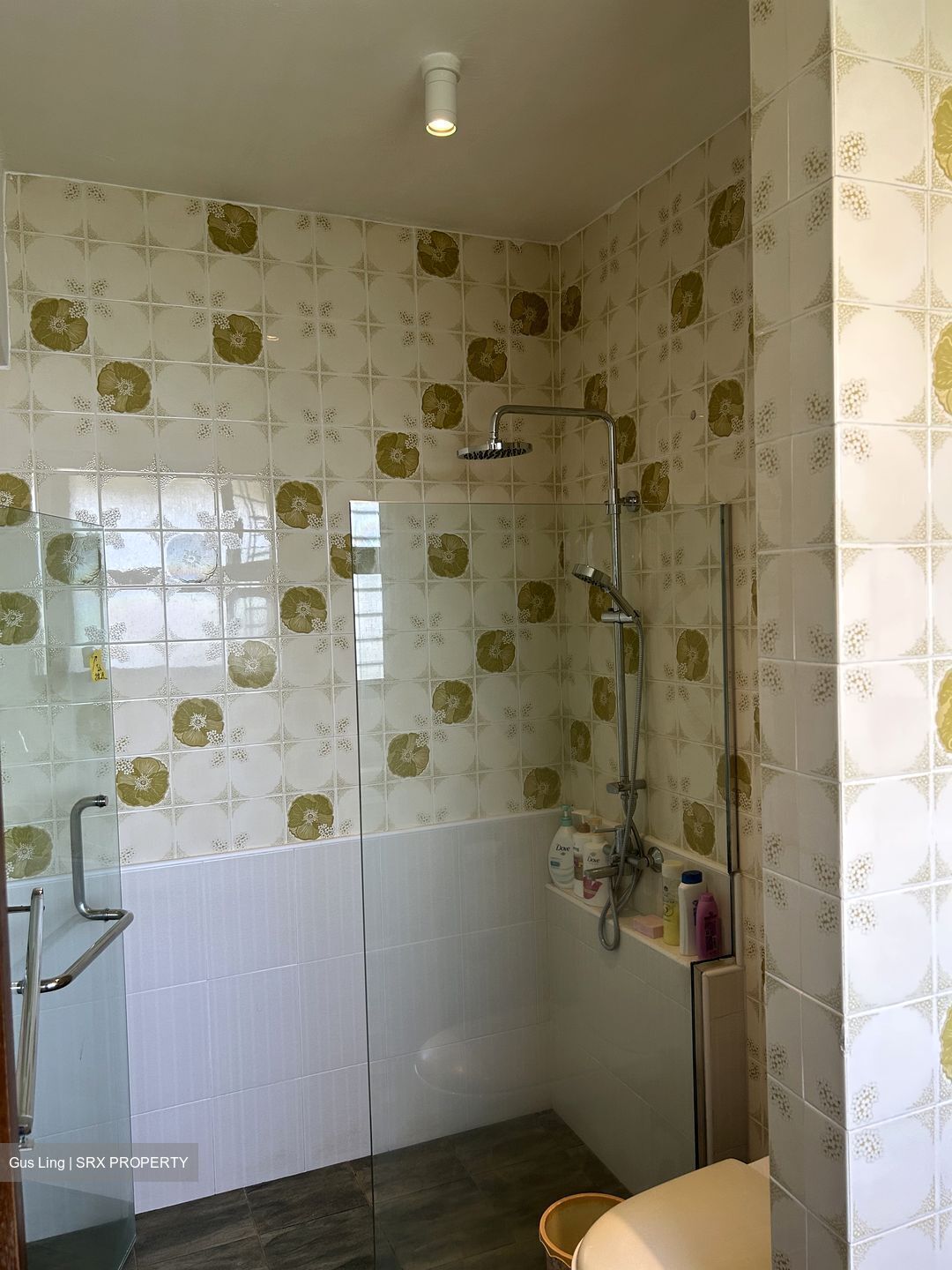 Lakeside Tower (D22), Apartment #448958171